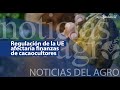 🔴 Actualidad agropecuaria - Regulación de la UE afectaría finanzas de cacaocultores