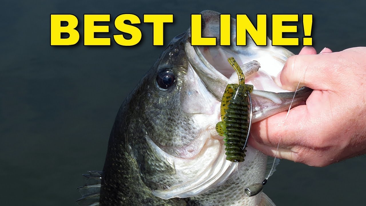 The Best Fishing Lines for Texas Rigging, Bass Fishing