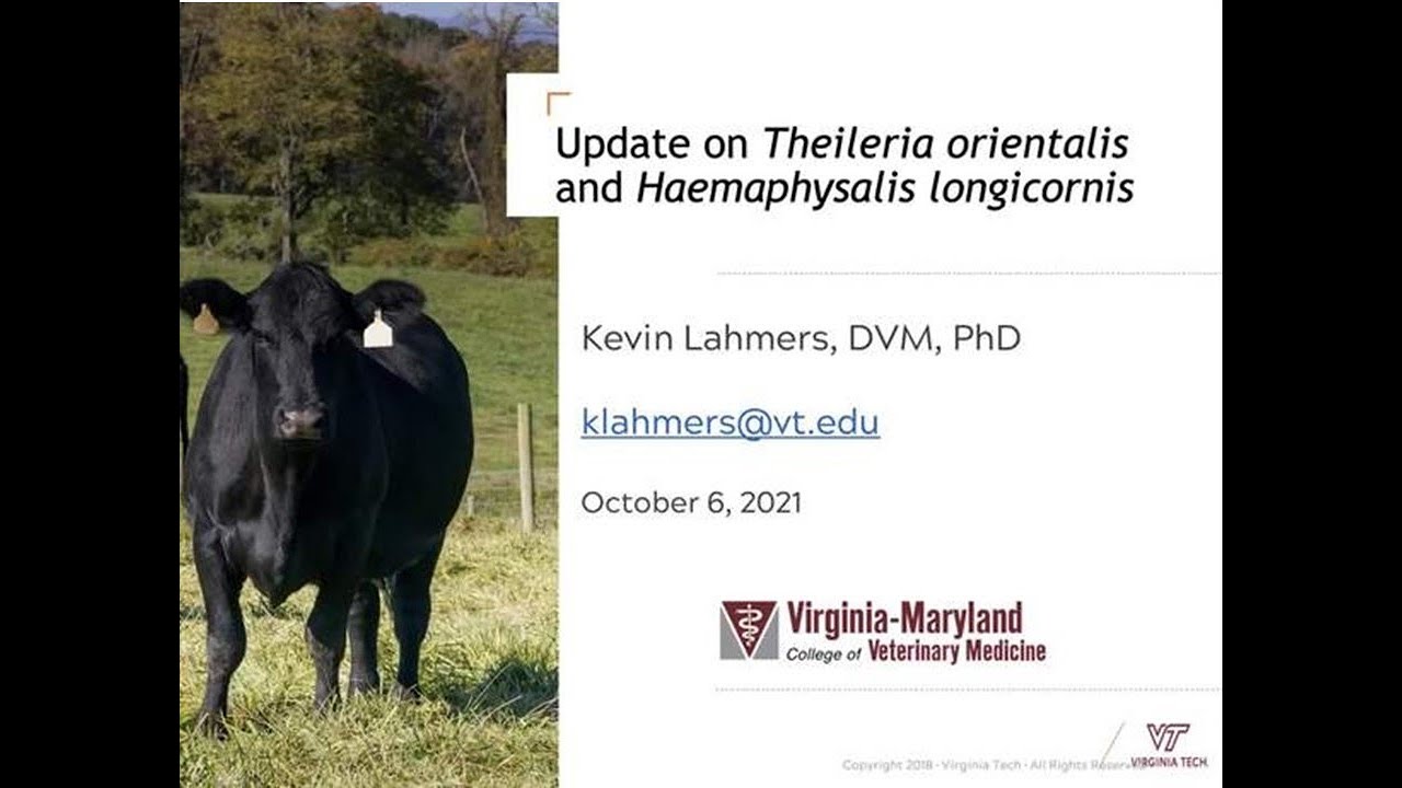 Theileria and the Asian Long Horn Tick: Fall 2021 Update