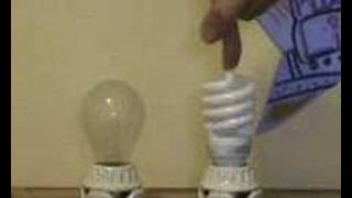 Famous Compact Fluorescent vs. Incandescant Lightbulbs Net Worth