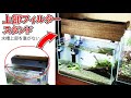 【アクアDIY】オールガラス水槽で使う上部フィルター【上部フィルターを浮かせる】