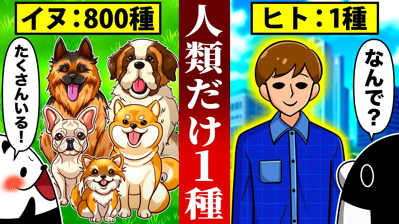 ヒト科ヒト属の生物が1種類しかいない衝撃の理由とは【アニメ】