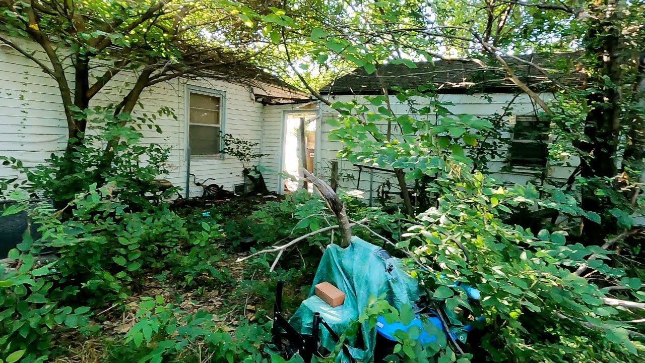 BACKYARD Was Like An AMAZON JUNGLE, Won't Believe The TRANSFORMATION