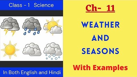 Class 1 | SCIENCE | EVS | Weathers and Seasons | Nirja Education | Anil Pandya