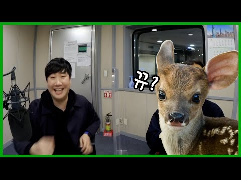 20201222 배성재의 텐 with : <strong>코요테</strong> 빽가 (신과 함께) ft. 캠핑의 신