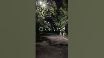 سورة إلاخلاص بصوت ماهر المعيقلي #اكسبلور #القرآن_الكريم #راحة_نفسية