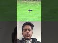 Proof That Practice Makes Perfect-Even for a Crow#trending #animals #wildlife #crow #shorts #birds🐦😱