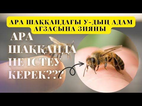 Бейне: Ара шаққанда ауырады ма?