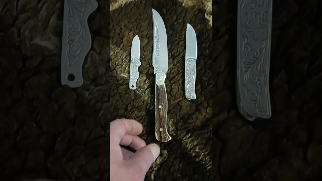 ‪@anna_illenseer‬