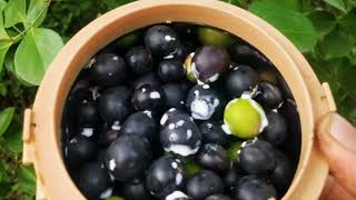 Ranmeva Karavande Beautiful Evening In Kalambusare Uran