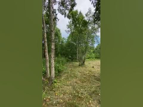 Третья падь СНТ Елочки - YouTube