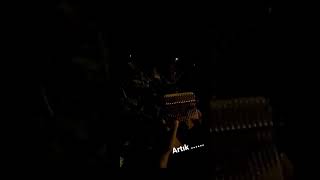 Artık Sevmeyeceğim