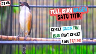 Cendet Gacor Full Isian Nagen Satu Titik Ini Bagus Untuk Membuat Pentet Cepat Gacor Bongkar Isian