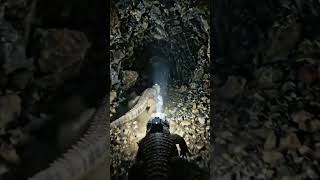 POV: Armadillo Lizard🦎A tiny camera mounted on an armadillo lizard reveals a hidden desert world