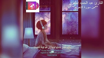تلاوة قليلة ولكن تريح النفوس والقلوب بدون مزين صوت ماشاء الله #أجمل التلاوات