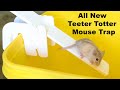 Will A Rat Eat Mice? The Teeter Totter Mouse Trap Results In A Huge Surprise. Mousetrap Monday