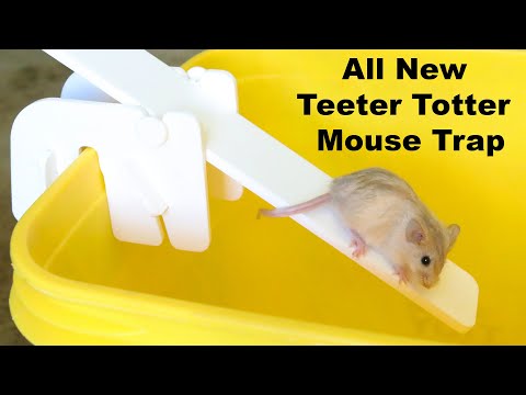 Teeter Totter Bucket Mouse Trap In Action with motion cameras -  mousetrapmonday - video Dailymotion