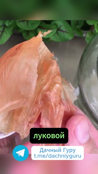 Народное средство от тли #тля #грядки #дача #огород #садоводство #сад # ...