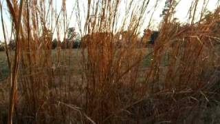 Information Baxley, GA Guide
