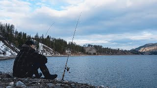 Winter Camping for RIVER TROUT (Catch, Cook, & Camp)