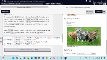 Responsive Web Design  Learn HTML by building a cat photo app step 49
