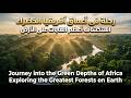 رحلة في أعماق غابات أفريقيا الخضراء إثارة ومتعة     