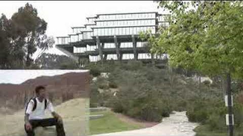 UC San Diego Undergraduates Forge New Area of Bioinformatics