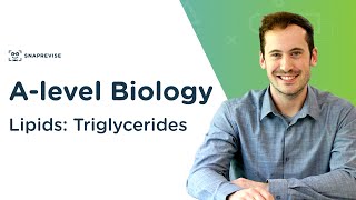 Lipids: Triglycerides | A-level Biology | OCR, AQA, Edexcel