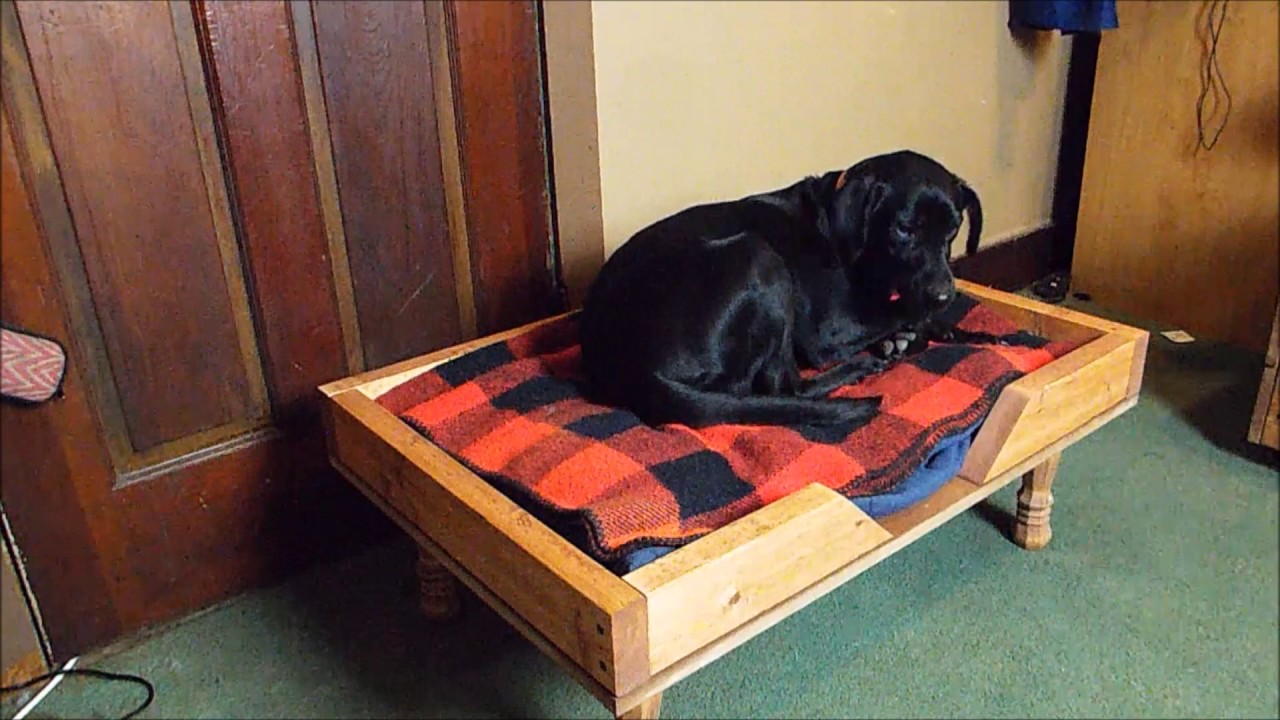 DIY Dog Bed YouTube