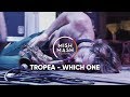 Tropea | Which one - Live Mish Mash Festival 2019