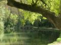 MONASTERIO DE PIEDRA