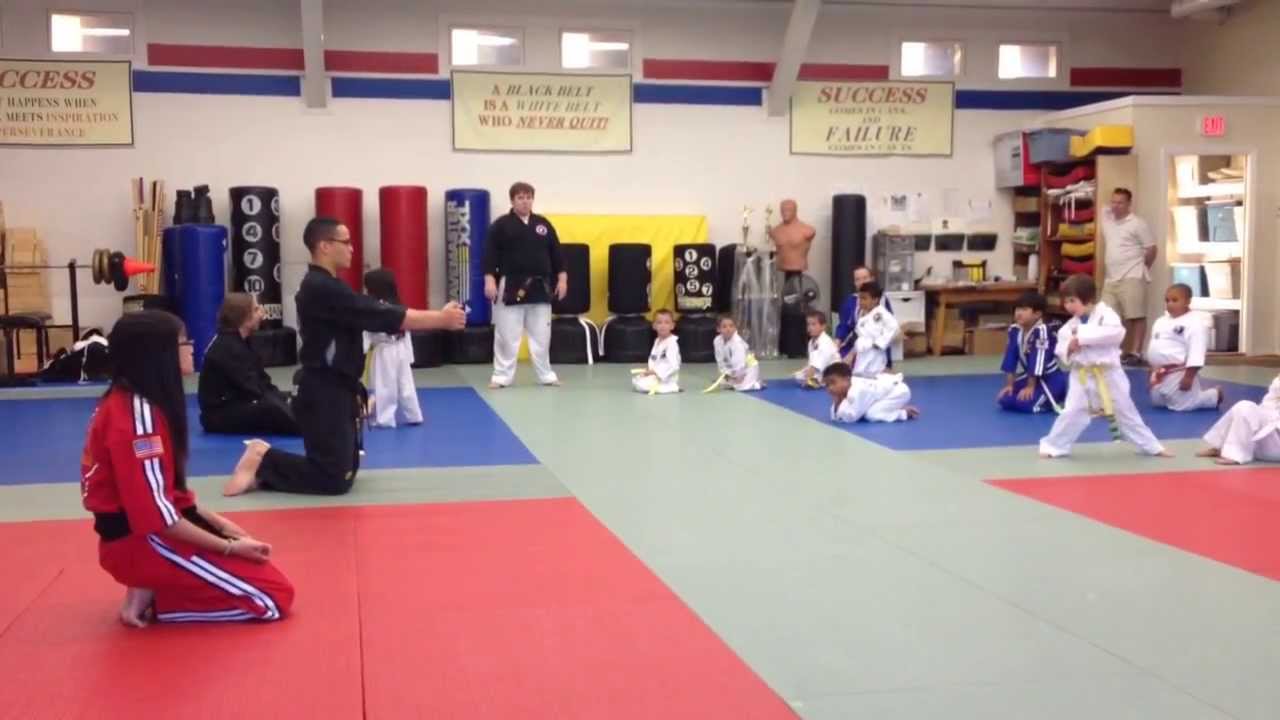 Finley's Flying Push Kick