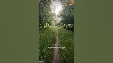 ﴿وَمِنْ آيَاتِهِ أَنْ يُرْسِلَ الرِّيَاحَ مُبَشِّرَاتٍ﴾ • سورة الروم • الشيخ القارئ محمد المنشاوي