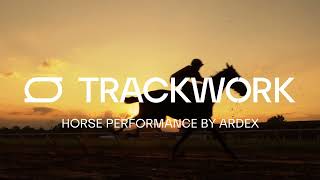 Introducing Trackwork by Ardex Technology