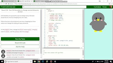 Basic CSS   Use CSS Variables to change several elements at once free code camp   Dani
