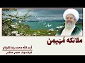 ملائکه م ه یم ن آیت الله محمد رضا نکونام
