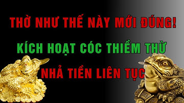 Thờ Cóc Ngậm Tiền Đúng Nhất Cho Người Làm Kinh Doanh | MẸO PHONG THỦY