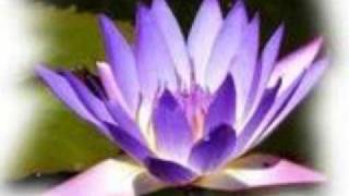 Energy work (part 2).wmv