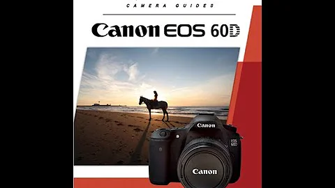 Canon 60D Instructional Guide by QuickPro Camera Guides