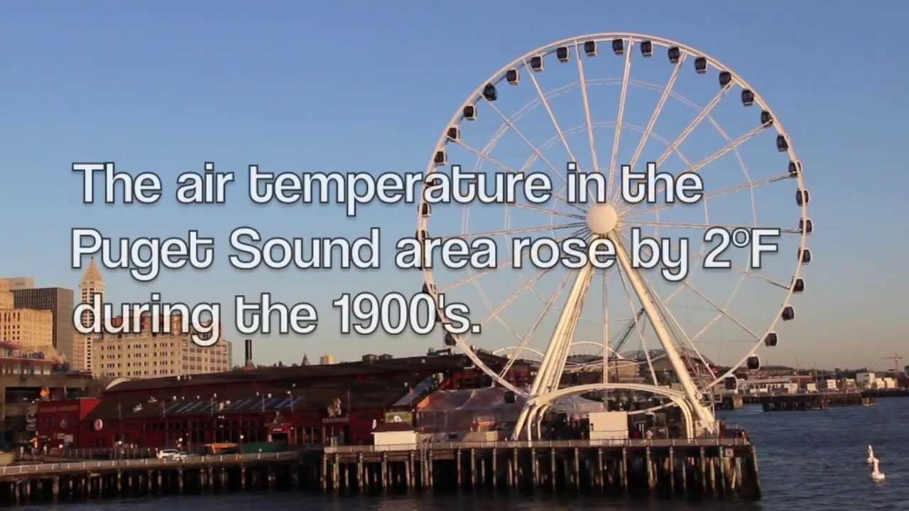 Creativity Inspiring Conservation: The Art of Fighting Climate Change