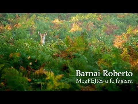 Videó: Orrfolyás és Fejfájás: 10 Ok, Tünet és Kezelés