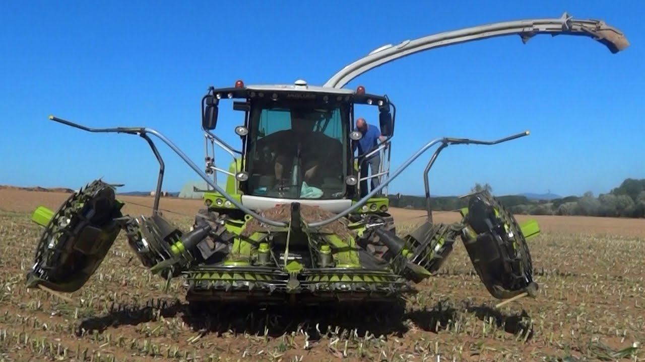 Nouvelle Claas Jaguar 970 & Orbis 750 | Ensilage Maïs