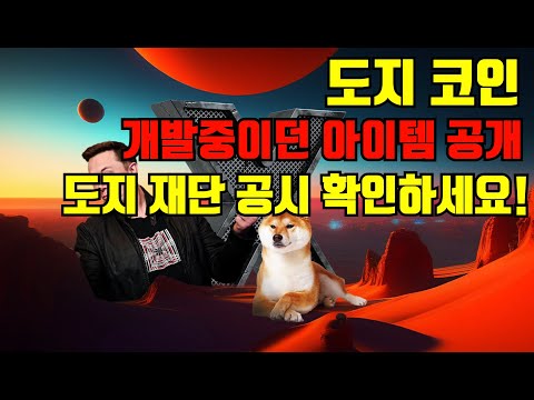   도지코인 개발중이던 아이템 공개 도지 재단 공시 오픈시 100 상승