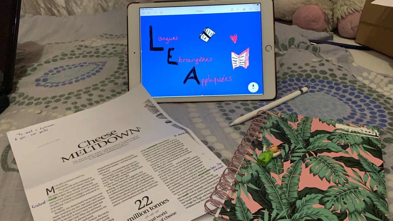 Licence LEA, mon vécu 1ère partie