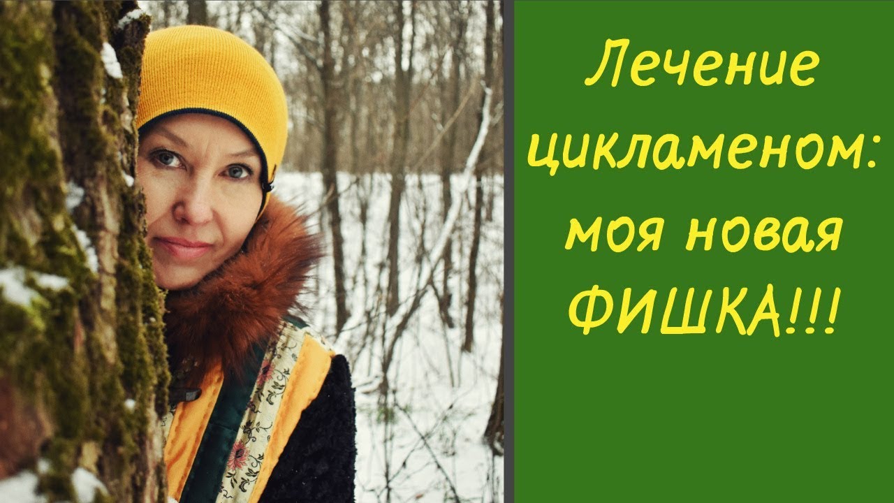 Лечение цикламеном: моя новая фишка. Бая Че Доктор Натуропатии