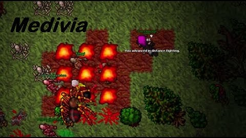 Tibia [ZyciolTv] Medivia.org(old tibianic) - WOMBO COMBO