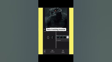 Part 31 face tracking capcut tutorial #capcuttutorial #facetracking #kungfupanda #capcutedit