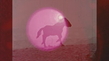 Institute for Creative Dying - Ikaria warootia [official video]