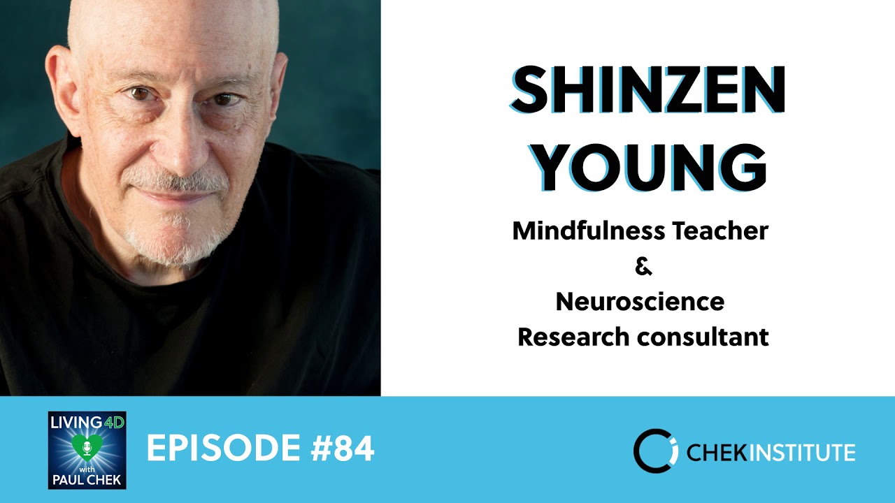 Episode 84 Shinzen Young The Science And Practice Of Progressive Episode 84 shinzen young the science and practice of progressive