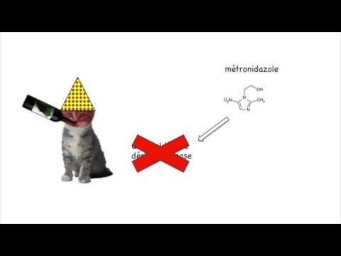 Vidéo: Acétaminophène (Tylenol) Et Alcool